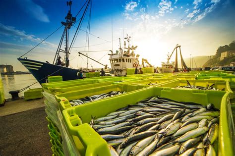 fishing industry